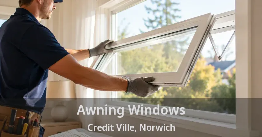 Awning Windows Credit Ville, Norwich - ON