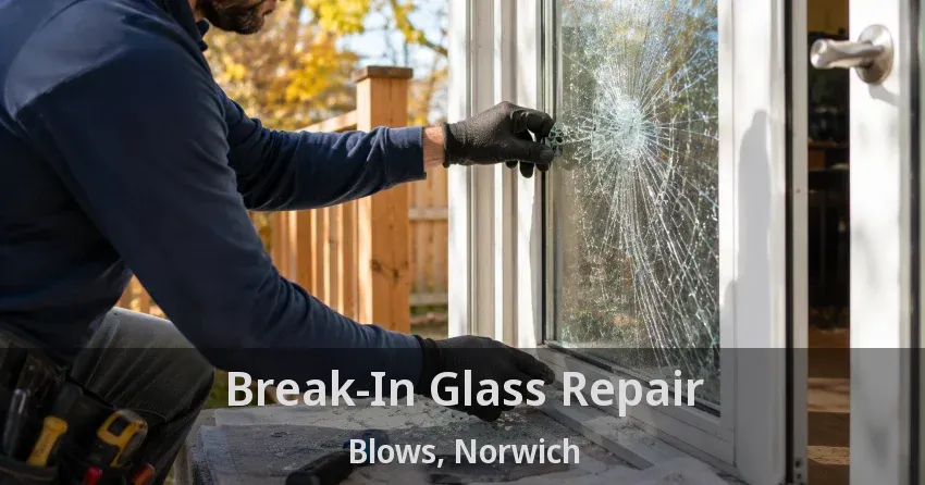 Break-In Glass Repair Blows, Norwich - ON