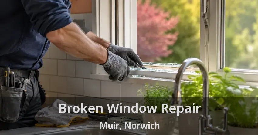 Broken Window Repair Muir, Norwich - ON
