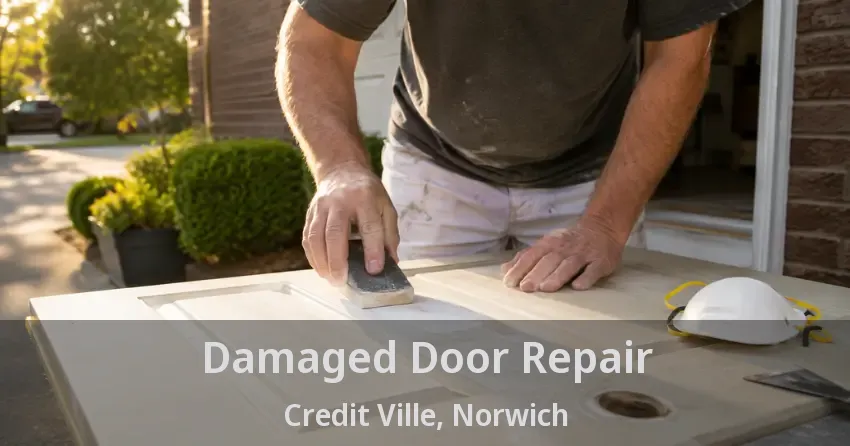 Damaged Door Repair Credit Ville, Norwich - ON