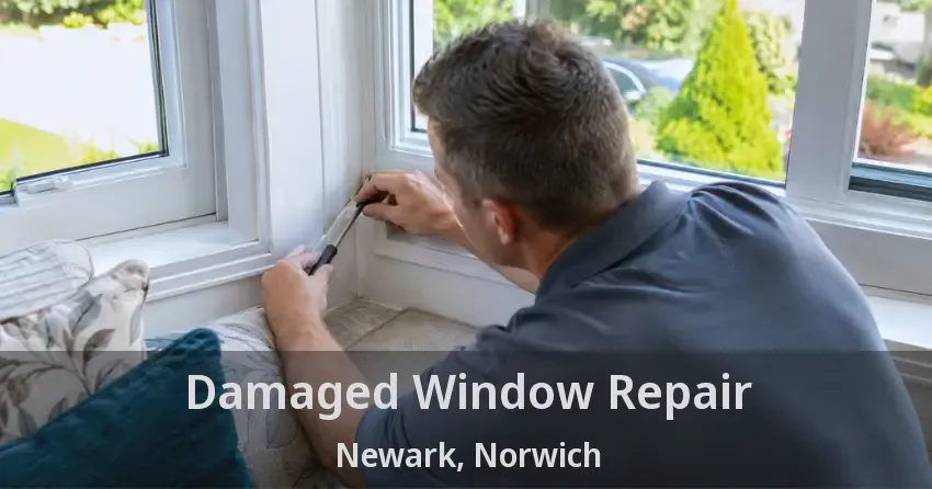 Damaged Window Repair Newark, Norwich - ON