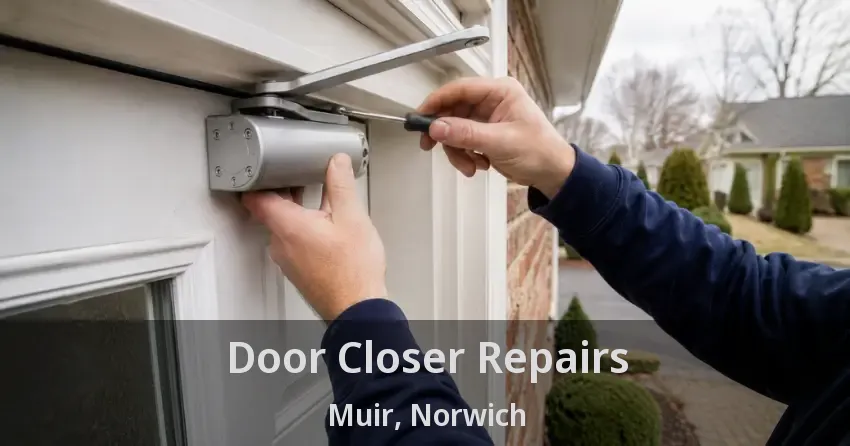 Door Closer Repairs Muir, Norwich - ON