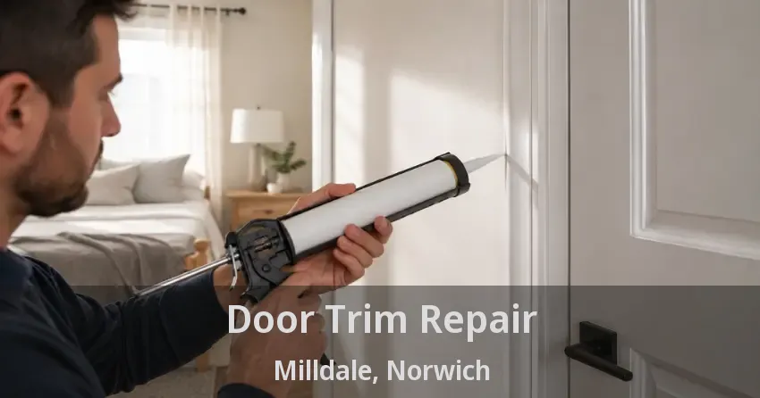 Door Trim Repair Milldale, Norwich - ON