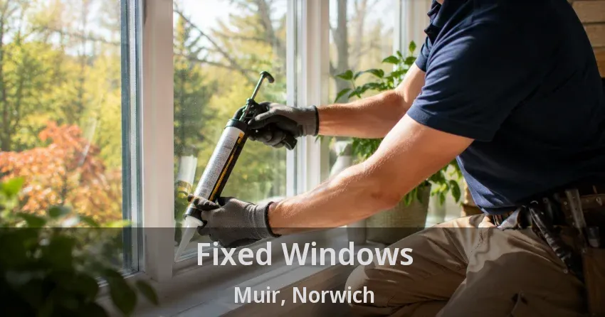 Fixed Windows Muir, Norwich - ON