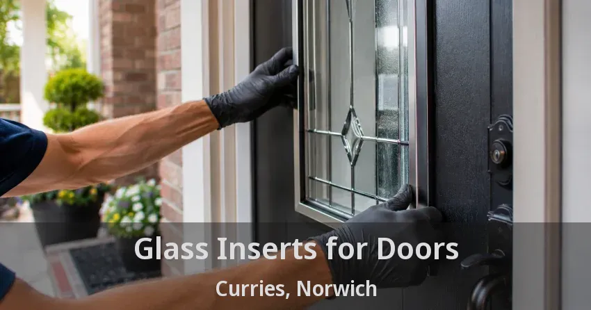 Glass Inserts for Doors Curries, Norwich - ON
