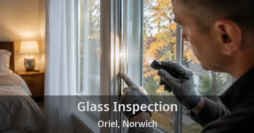 Glass Inspection Oriel, Norwich - ON