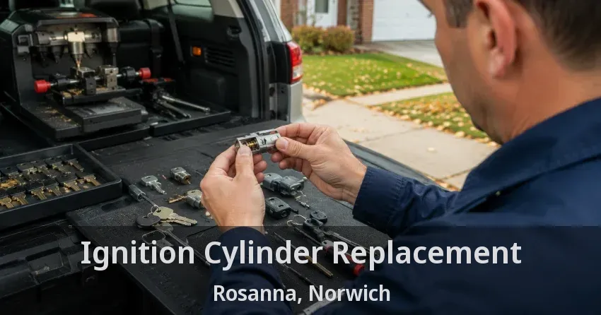 Ignition Cylinder Replacement Rosanna, Norwich - ON