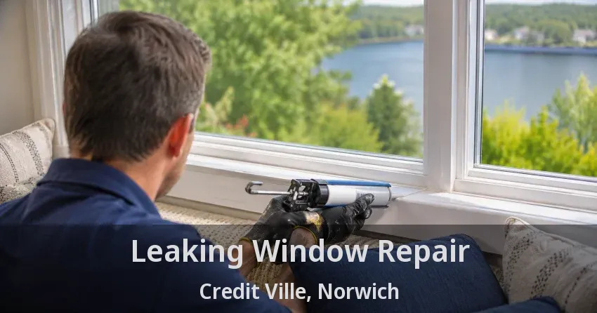 Leaking Window Repair Credit Ville, Norwich - ON