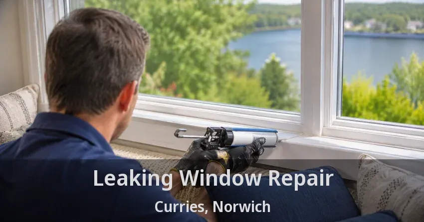 Leaking Window Repair Curries, Norwich - ON