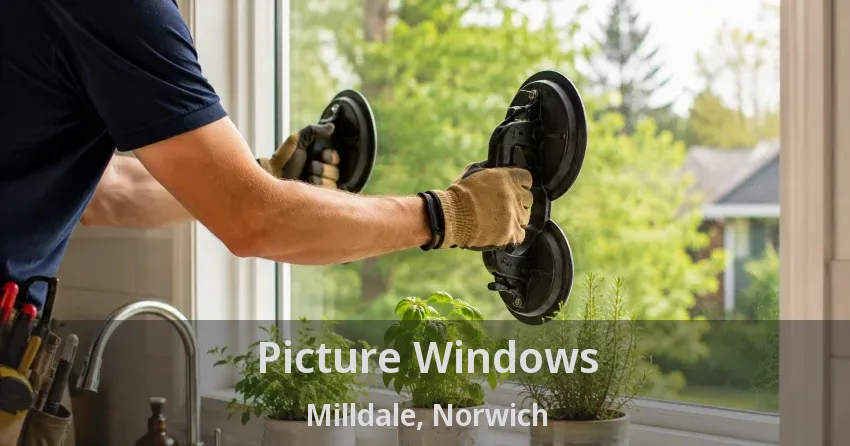 Picture Windows Milldale, Norwich - ON