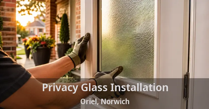 Privacy Glass Installation Oriel, Norwich - ON