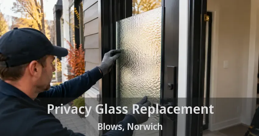 Privacy Glass Replacement Blows, Norwich - ON