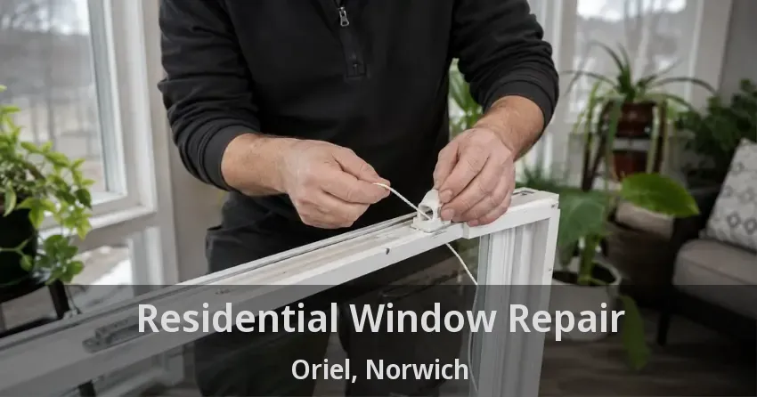 Residential Window Repair Oriel, Norwich - ON