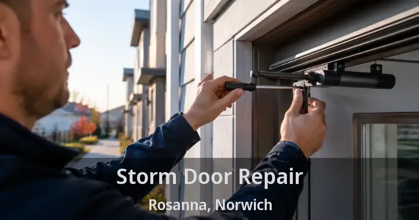 Storm Door Repair Rosanna, Norwich - ON