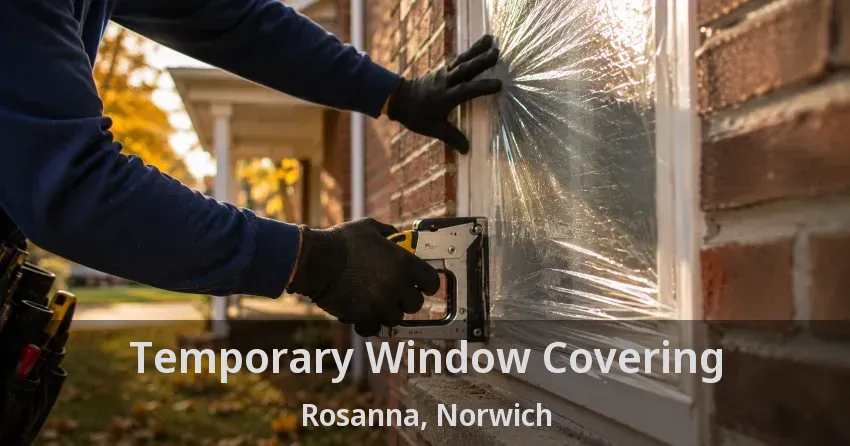 Temporary Window Covering Rosanna, Norwich - ON