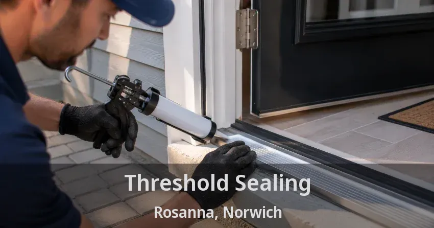 Threshold Sealing Rosanna, Norwich - ON