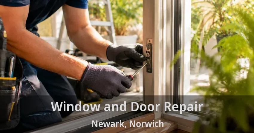 Window and Door Repair Newark, Norwich - ON