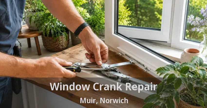 Window Crank Repair Muir, Norwich - ON