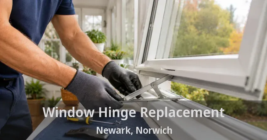 Window Hinge Replacement Newark, Norwich - ON