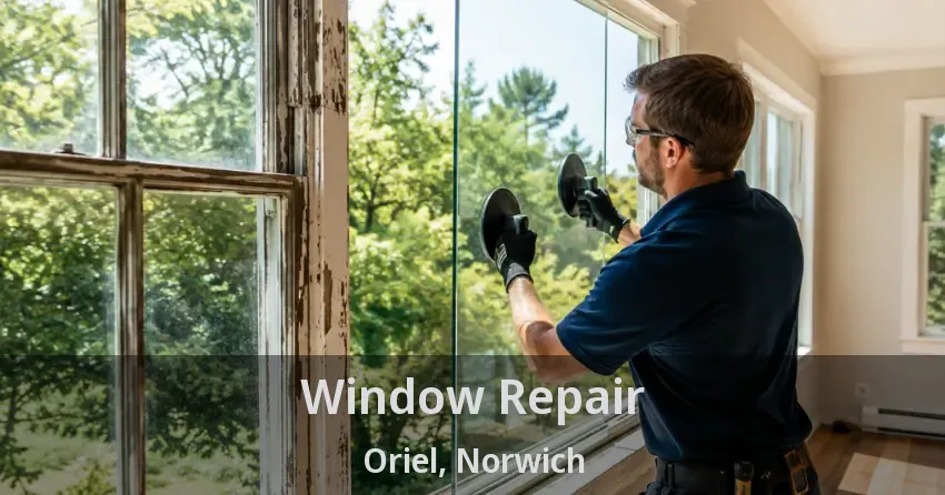 Window Repair Oriel, Norwich - ON