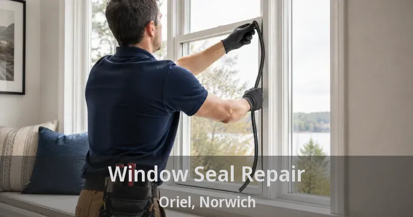 Window Seal Repair Oriel, Norwich - ON