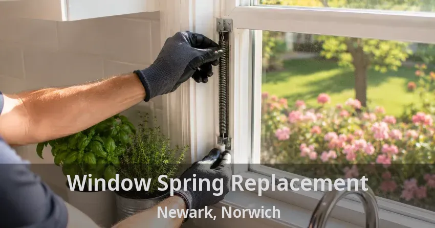 Window Spring Replacement Newark, Norwich - ON